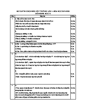 Đáp án đề thi học sinh giỏi môn Sinh học Lớp 12 lần 1 - Năm học 2019-2020 - Trường THPT Đồng Đậu